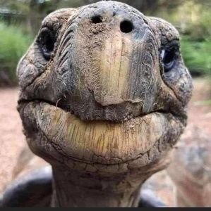 Meet your Posher, Mason